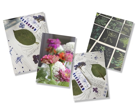 compo_herbier_planche_v2light